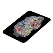 虹彩色を示すゲーテ マグネット (左側)