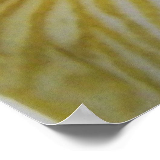 虹彩花写真 ポスター (角)