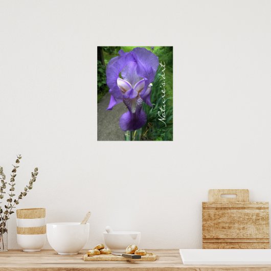 虹彩花写真 ポスター (キッチン)