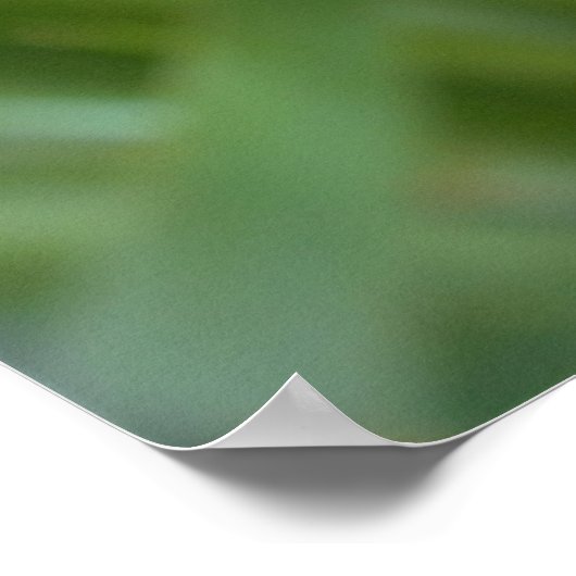 虹彩花写真 ポスター (角)