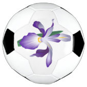 虹彩花 サッカーボール (回転)