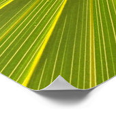 虹彩花 ポスター (角)