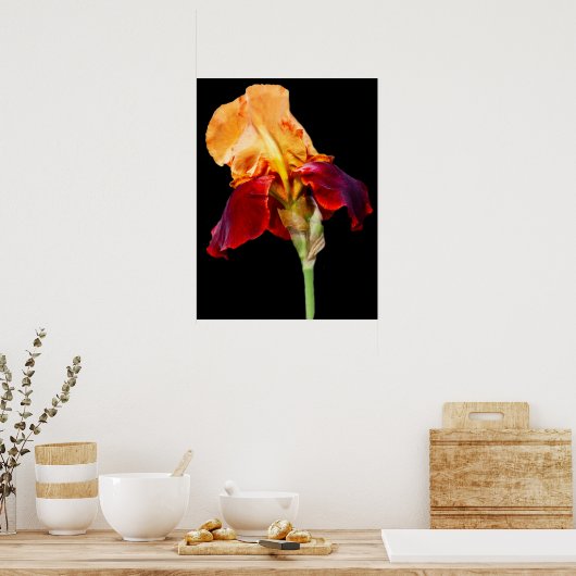 虹彩花 ポスター (キッチン)