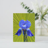 虹彩花 ポストカード (スタンド正面)