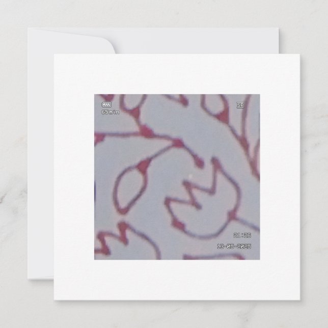 虹彩設計 (正面)