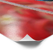 虹彩輝き フォトプリント (角)