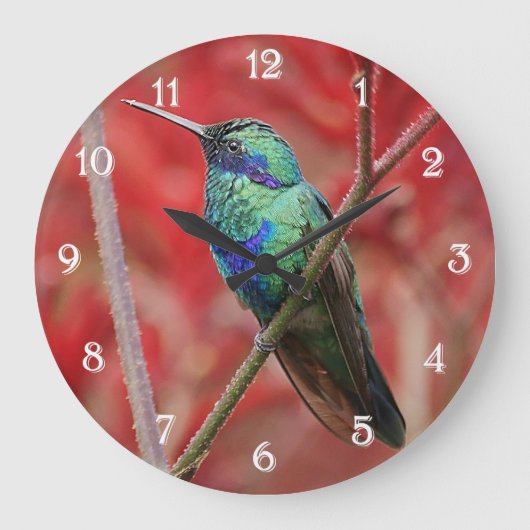 虹彩輝き ラージ壁時計 (正面)