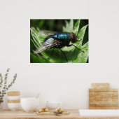 虹彩輝 – 青ボトル ポスター (キッチン)