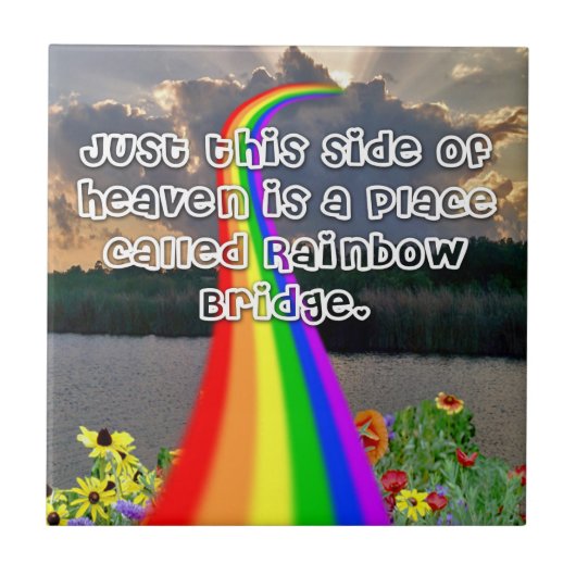 虹橋タイル タイル (正面)