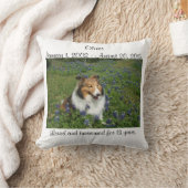 虹橋枕 クッション (ブランケット)