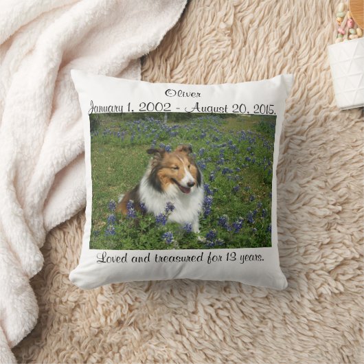 虹橋枕 クッション (ブランケット)