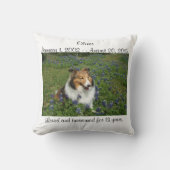 虹橋枕 クッション (正面)