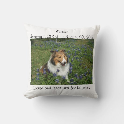 虹橋枕 クッション (正面)