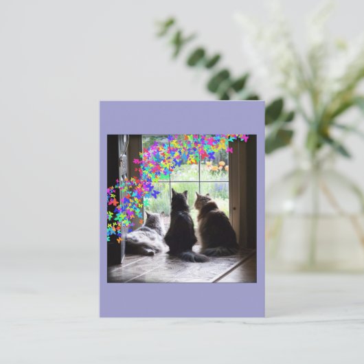 虹橋猫の哀悼の郵便はがき ポストカード (スタンド正面)
