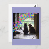 虹橋猫の哀悼の郵便はがき ポストカード (正面/裏面)