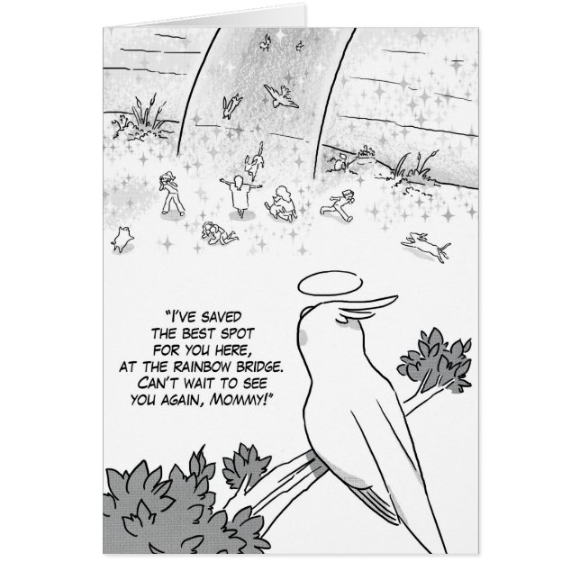 虹橋cockatielのオウム (正面)