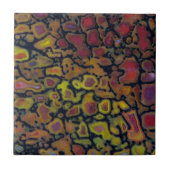 虹石化恐竜の骨 タイル (正面)