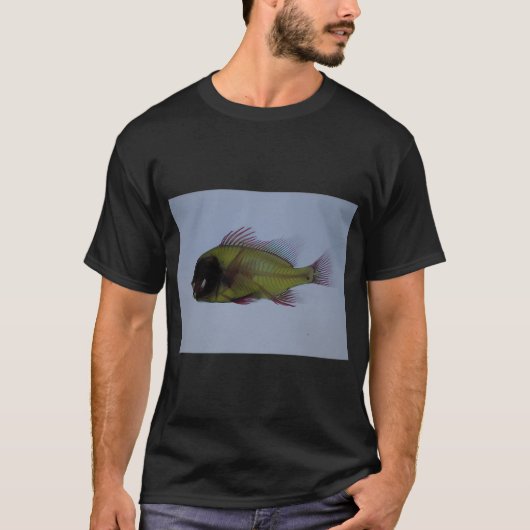 虹竜眼金魚 Tシャツ (正面)