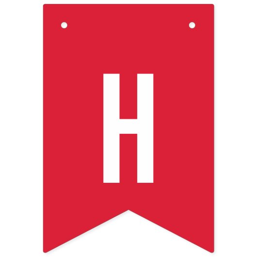 虹色お洒落の数々の誕生日旗 バンティングフラッグ (第2の旗)