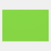 虹色のデイジーストライプ柄 - ソフトターコイズ/ライム ラッピングペーパーシート (正面3)