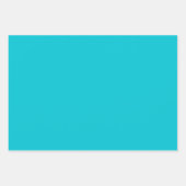 虹色のデイジーストライプ柄 - ソフトターコイズ/ライム ラッピングペーパーシート (正面2)