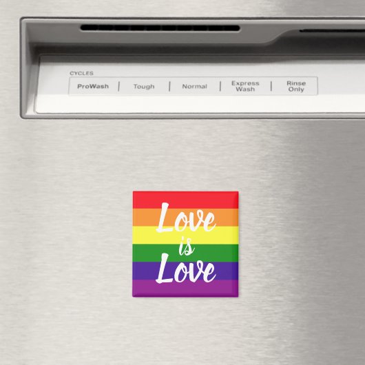 虹色の愛は愛 LGBTQプライド マグネット (インサイチュ (食洗機))