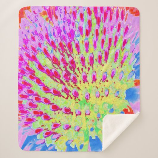 虹色の数々の抽象芸術円錐花 シェルパブランケット (正面)