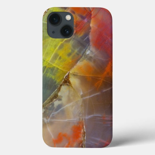 虹色の珪化木 Case-Mate iPhoneケース (裏面)