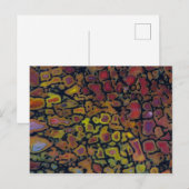 虹色の石化した恐竜の骨 ポストカード (正面/裏面)