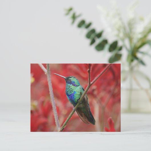 虹色の輝き ポストカード (スタンド正面)