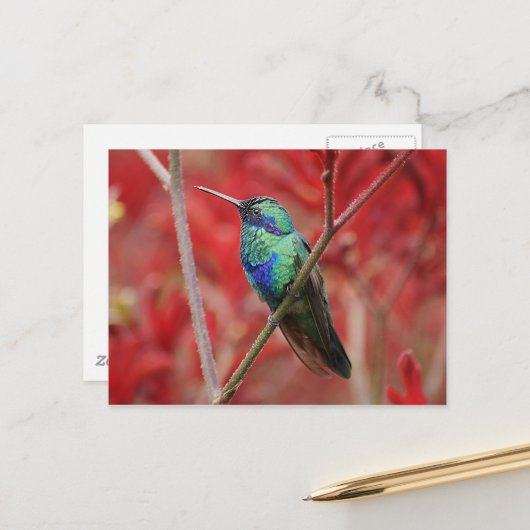 虹色の輝き ポストカード (正面/裏面インサイチュ)