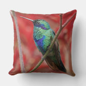 虹色の輝やき クッション (正面)