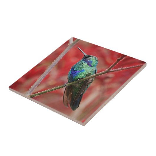 虹色の輝やき タイル (側面)