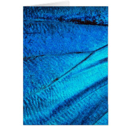 虹色の青い蝶の羽