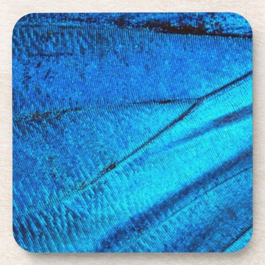 虹色の青い蝶の羽 コースター (正面)