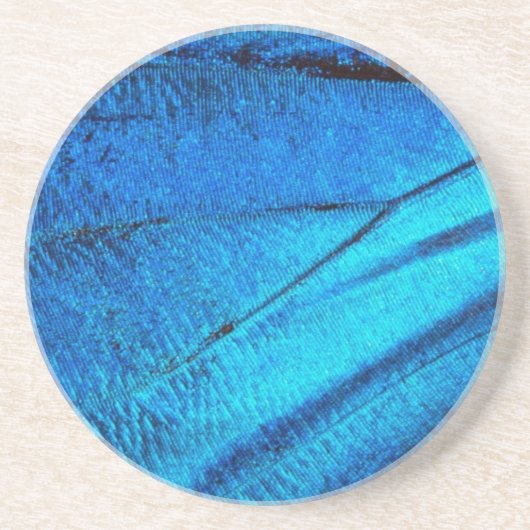 虹色の青い蝶の羽 コースター (正面)