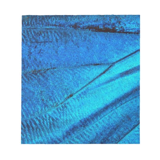 虹色の青い蝶の羽 ノートパッド (正面)