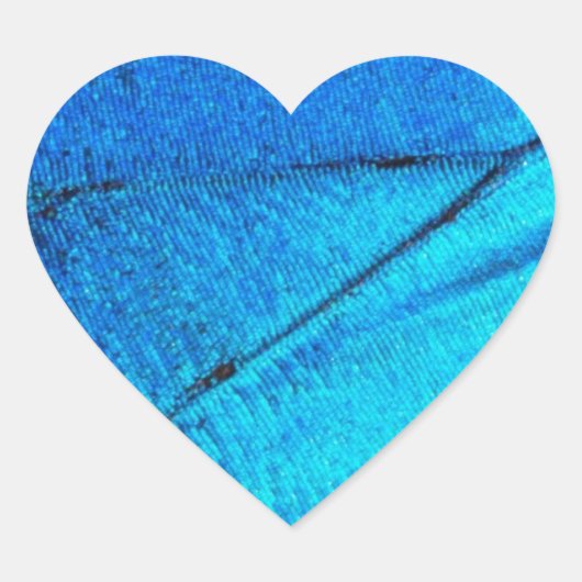 虹色の青い蝶の羽 ハートシール (正面)