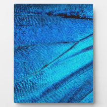 虹色の青い蝶の羽