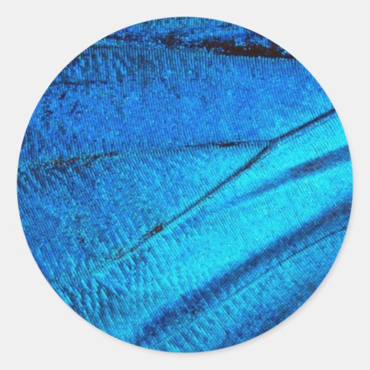 虹色の青い蝶の羽 ラウンドシール (正面)