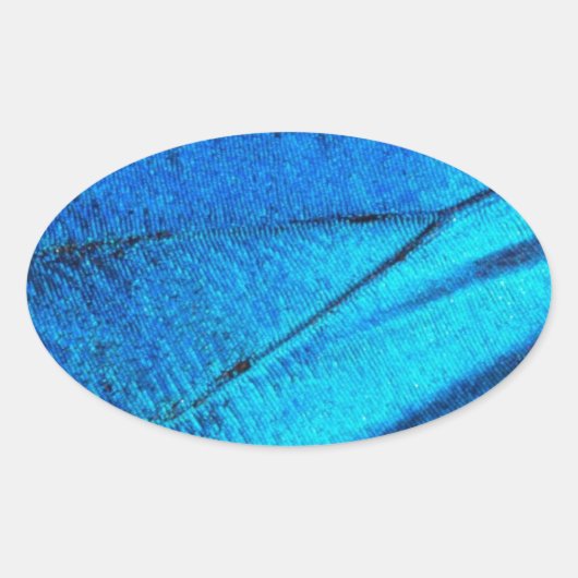 虹色の青い蝶の羽 楕円形シール (正面)