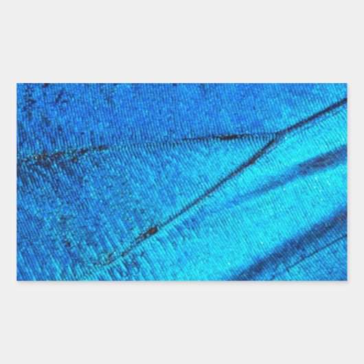 虹色の青い蝶の羽 長方形シール (正面)