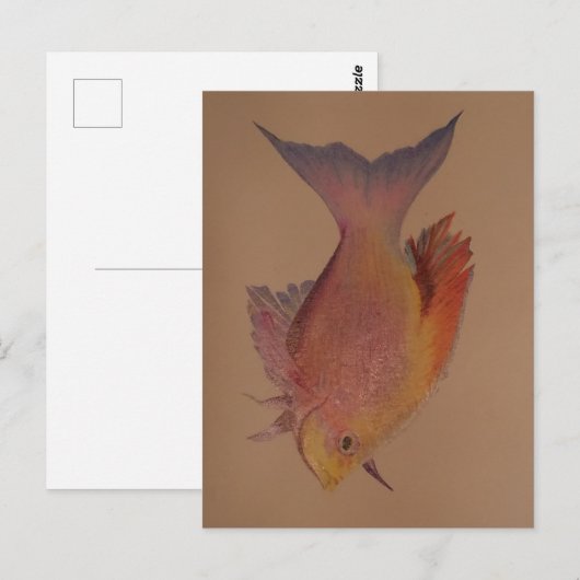 虹色の魚 ポストカード (正面/裏面)