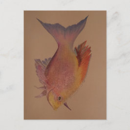虹色の魚 ポストカード