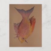 虹色の魚 ポストカード (正面)
