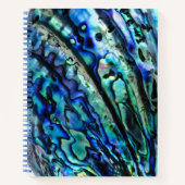 虹色パウアアワビの貝殻 ノートブック (正面)