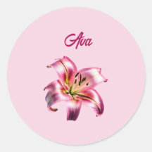 虹色ホログラフィックピンクのアジアのユリ