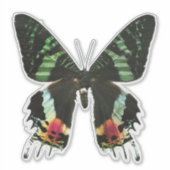 虹色数々のの蝶 シール (正面)