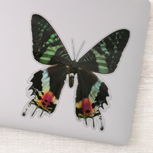 虹色数々のの蝶 シール (詳細)