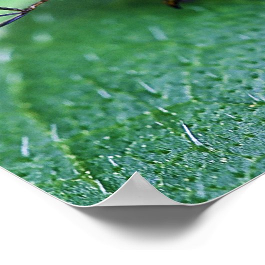 虹色日本の虫 ポスター (角)